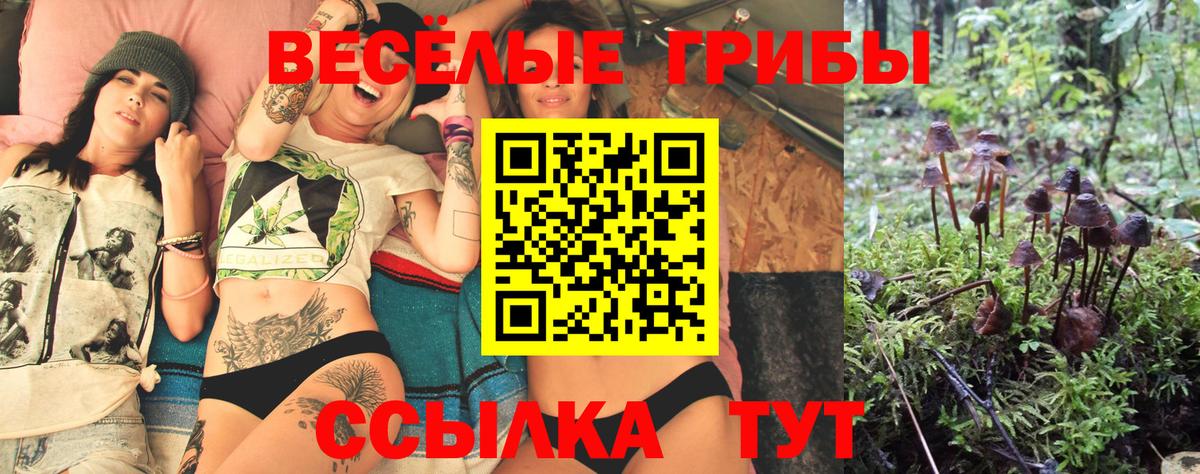 Острогожск  Галлюциногенные грибы Psilocybine cubensis  сколько стоит  Вход с VPN 