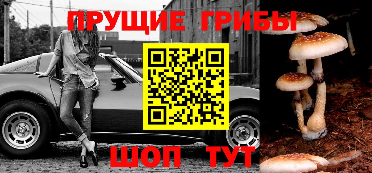 Псилоцибиновые грибы GOLDEN TEACHER Острогожск